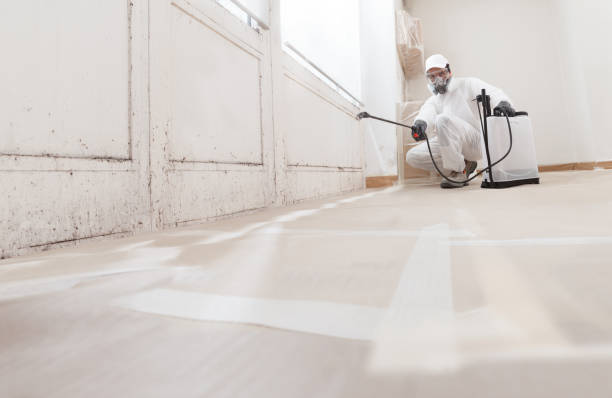 24/7 Emergency Mold Removal experts in Chesapeake, VA